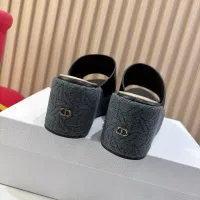 $96.00 USD Christian Dior Slippers For Women #1320152