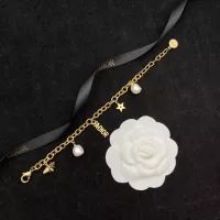 $25.00 USD Christian Dior Bracelets For Women #1325912