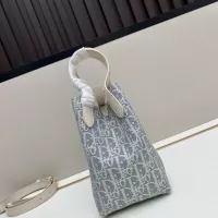 $100.00 USD Christian Dior AAA Quality Handbags For Women #1331927