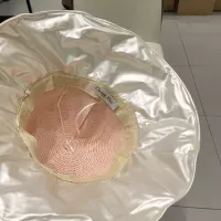 $34.00 USD Christian Dior Caps #1333106