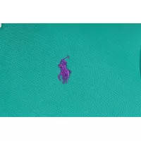 $39.00 USD Ralph Lauren Polo T-Shirts Short Sleeved For Women #1335998