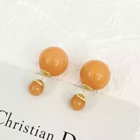 $27.00 USD Christian Dior Earrings For Unisex #1336704