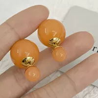 $27.00 USD Christian Dior Earrings For Unisex #1336704