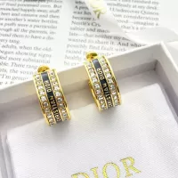 $38.00 USD Christian Dior Earrings For Women #1336855