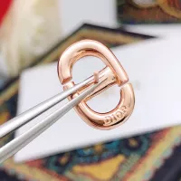 $25.00 USD Christian Dior Earrings For Women #1337203