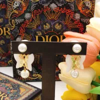 $29.00 USD Christian Dior Earrings For Women #1337261