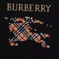 $38.00 USD Burberry T-Shirts Short Sleeved For Unisex #1341235