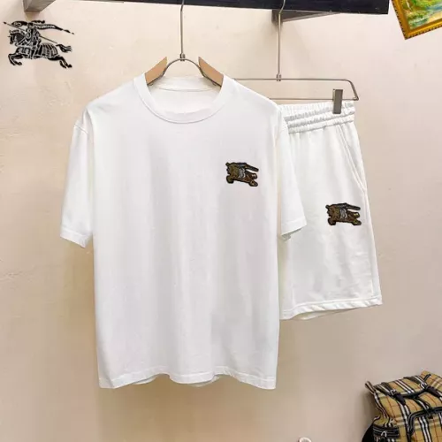Burberry Tracksuits Short Sleeved For Men #1343075