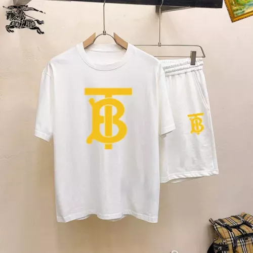 Burberry Tracksuits Short Sleeved For Men #1343123