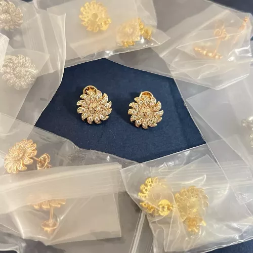 Louis Vuitton Earrings For Women #1345380