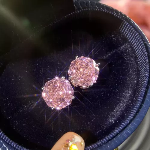 Chanel Earrings For Women #1346277
