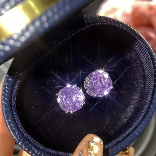 Chanel Earrings For Women #1346278