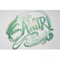 $32.00 USD Amiri T-Shirts Short Sleeved For Unisex #1343187