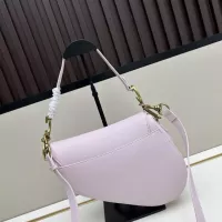$85.00 USD Christian Dior AAA Quality Messenger Bags For Women #1344938