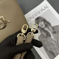$108.00 USD Christian Dior AAA Quality Handbags For Women #1345271