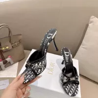 $102.00 USD Christian Dior Slippers For Women #1371754