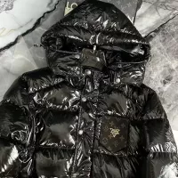 $145.00 USD Louis Vuitton LV Down Feather Coat Long Sleeved For Men #1376746
