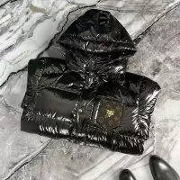 $145.00 USD Louis Vuitton LV Down Feather Coat Long Sleeved For Men #1376746