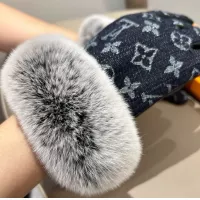 $64.00 USD Louis Vuitton LV Gloves For Women #1379106