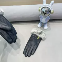 $52.00 USD Louis Vuitton LV Gloves For Women #1379130