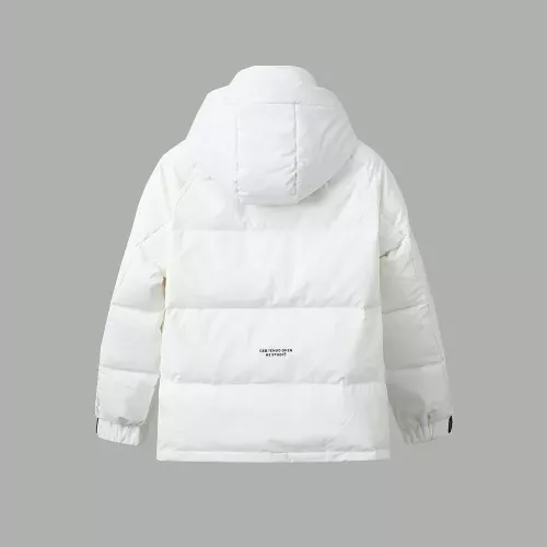 Replica Louis Vuitton LV Down Feather Coat Long Sleeved For Men #1383574 $185.00 USD for Wholesale