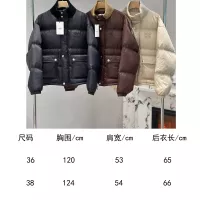 $240.00 USD Celine Down Feather Coat Long Sleeved For Women #1386140