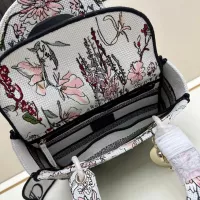 $115.00 USD Christian Dior AAA Quality Handbags For Women #1386173
