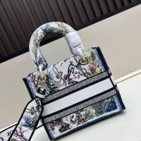 $105.00 USD Christian Dior AAA Quality Handbags For Women #1387335