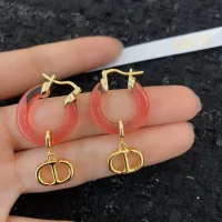 $32.00 USD Christian Dior Earrings For Women #1390834