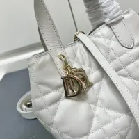 $102.00 USD Christian Dior AAA Quality Handbags For Women #1392139