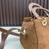 $102.00 USD Christian Dior AAA Quality Handbags For Women #1393611