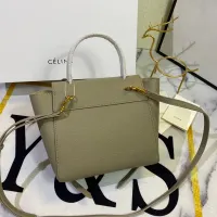 $115.00 USD Celine AAA Quality Handbags For Women #1393691