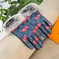 $48.00 USD Louis Vuitton LV Gloves For Women #1396630
