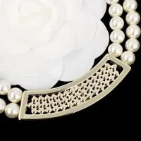 $40.00 USD Chanel Necklaces For Women #1398882