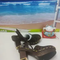 $160.00 USD Fendi Sandal For Women #1400836