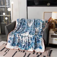 $115.00 USD Christian Dior Blanket #1406275