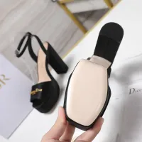$122.00 USD Christian Dior Sandal For Women #1410014