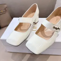 $102.00 USD Christian Dior High-Heeled Shoes For Women #1417786