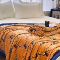 $76.00 USD Hermes Blanket #1424537