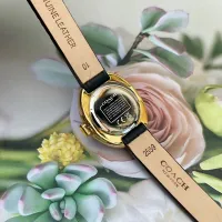 $125.00 USD Coach Quality Watches For Women #1430106