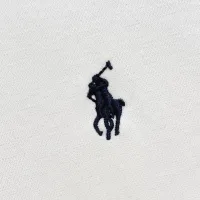 $52.00 USD Ralph Lauren Polo T-Shirts Short Sleeved For Men #1430914