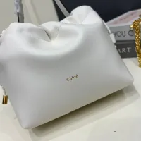 $98.00 USD Chloe AAA Quality Handbags For Women #1432252