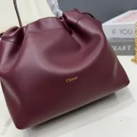 $98.00 USD Chloe AAA Quality Handbags For Women #1432257