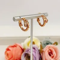 $34.00 USD Bvlgari Earrings For Women #1440500