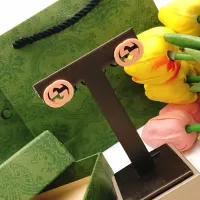 $27.00 USD Gucci Earrings For Women #1447420