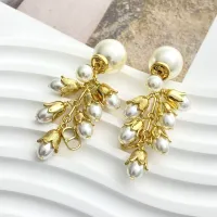 $45.00 USD Christian Dior Earrings For Women #1449472
