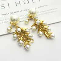 $45.00 USD Christian Dior Earrings For Women #1449472
