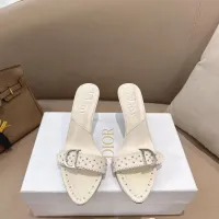 $102.00 USD Christian Dior Slippers For Women #1453851