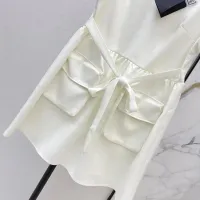 $76.00 USD Prada Dresses Short Sleeved For Women #1458097