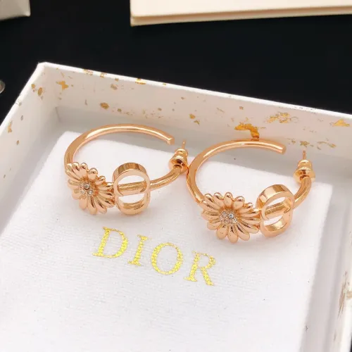 Christian Dior Earrings For Women #1460443